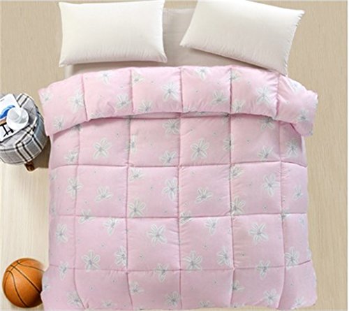 Lxl-quilt Couette d'hiver ( couleur : # 4 , taille : 220*240cm 3kg ) code EAN 6010572433544 