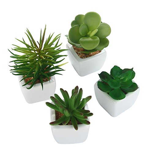 Tm) 4 pcs mini plantes succulentes artificielle...