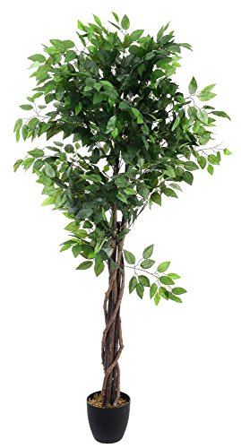 Plante artificielle Ficus Pot, Hauteur 180 cm -...