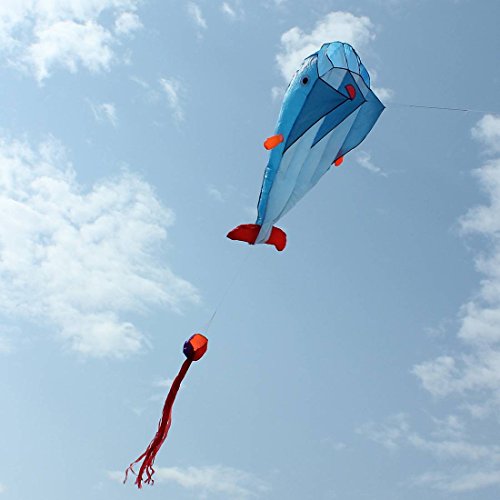Cerf-volant tissu dauphin flottant dans le ciel bleu 3d kite jeux de plein air 30m fil 200*73cm avec la queue 6063182062260 CAMTOA Cerf-volant tissu dauphin flottant dans le ciel bleu 3d kite jeux de plein air 30m fil 200*73cm avec la queue 6063182062260 CAMTOA