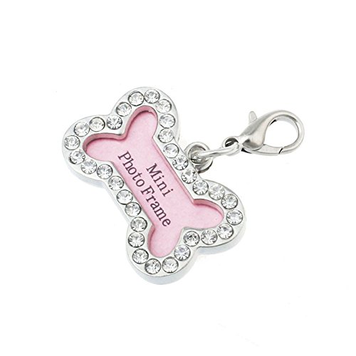 Tag dog dog dog tag badge cat tag incl couleur.