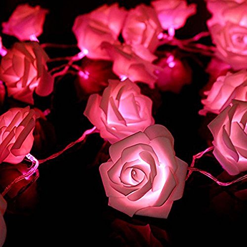 CITY - 2,2 Mètres 20-LED Guirlande Lumineuse Fo...