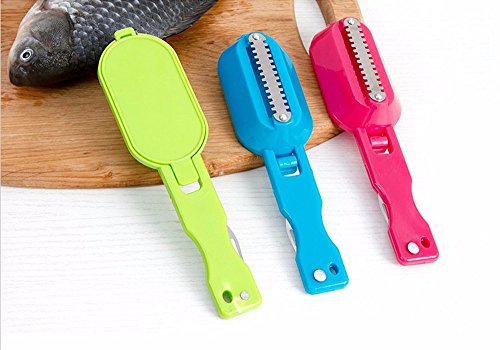 asentechuk® Poisson échelle grattoir de nettoya...