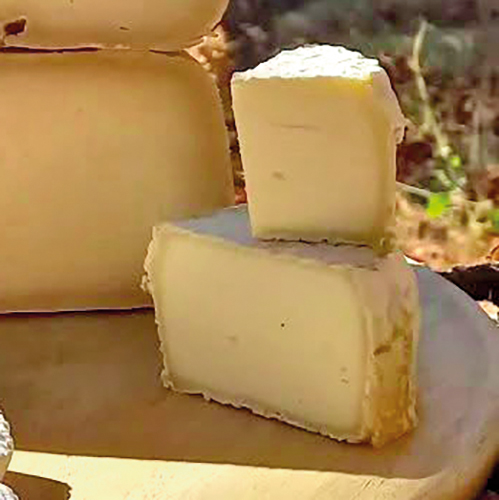 SCEA DES THERMES TOMME DE BREBIS code EAN 6599882 