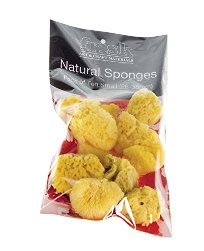 Bloc de 25 mm-lot de 10 éponge naturelle