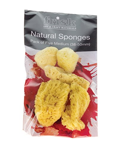 Bloc de mousse 50 mm-lot de 5-naturel