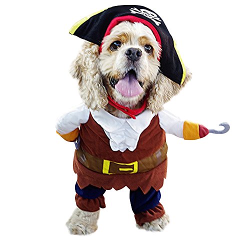 Pirate Costume Manteau Chapeau Mini Chien Hiver...