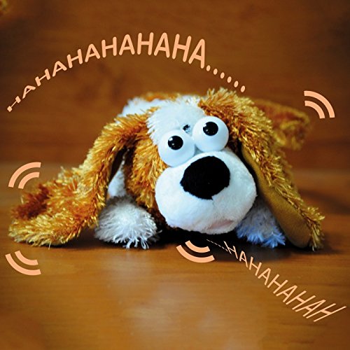 Chien Hilarant rieur, cadeau insolite, cadeau o...