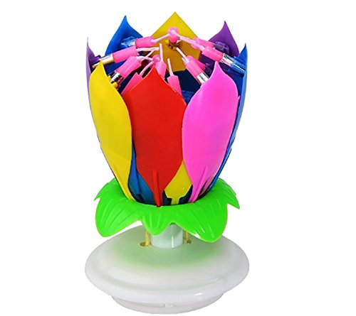 Jinbaishop jinbaishop 1 Hotsale Belle Fleur Lotus 14 bougies d'anniversaire Inscription Happy Birthday parti Décoration de mariage romantique cadeau lumière code EAN 6901265820942 