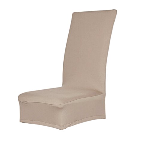 Housse Etui de Chaise Champagne en Coton Lycra ...