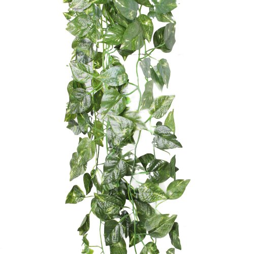 Guirlande De Pothos Scindapsus Artificiel Pour ...