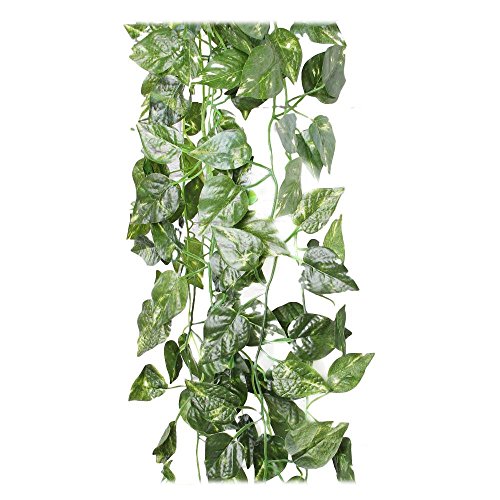 Rurality Scindapsus artificielle Plante décorat...