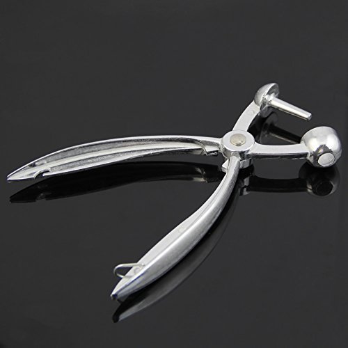 HeroNeoÃ'Â® Aluminum Cherry Pitter Dates Olives...