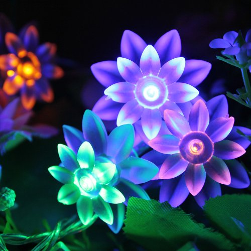 Guirlande lumineuses intérieur, 4m 40 led double lotus, decoration pour noël, mariage, patie, maison, jardin ( multicolore ) 6924146625672 Innoo Tech Guirlande lumineuses intérieur, 4m 40 led double lotus, decoration pour noël, mariage, patie, maison, jardin ( multicolore ) 6924146625672 Innoo Tech