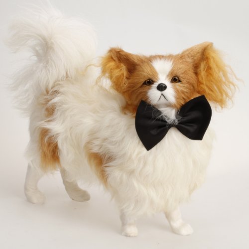 Bowtie Cravate pour Chien Animaux de Compagnie ...