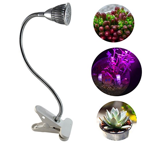 Cultiver des plantes Lumière, Ampoule Waycom 5 ...