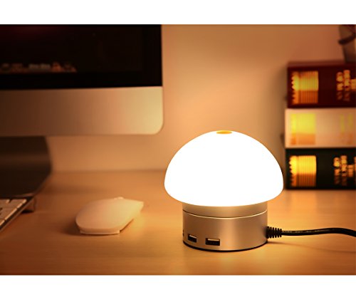 Led smart night light [pop veilleuse led] avec crépuscule à l'aube light-sensor et dual usb charger plaque murale, 5v 2a sortie pour chargeur rapide capteur lampe led fonction dans l'obscurité pour hall d'entrée, salle de bains, chambre, salon, cuisine (6 port usb, argent) 6927071652621 AMMBER