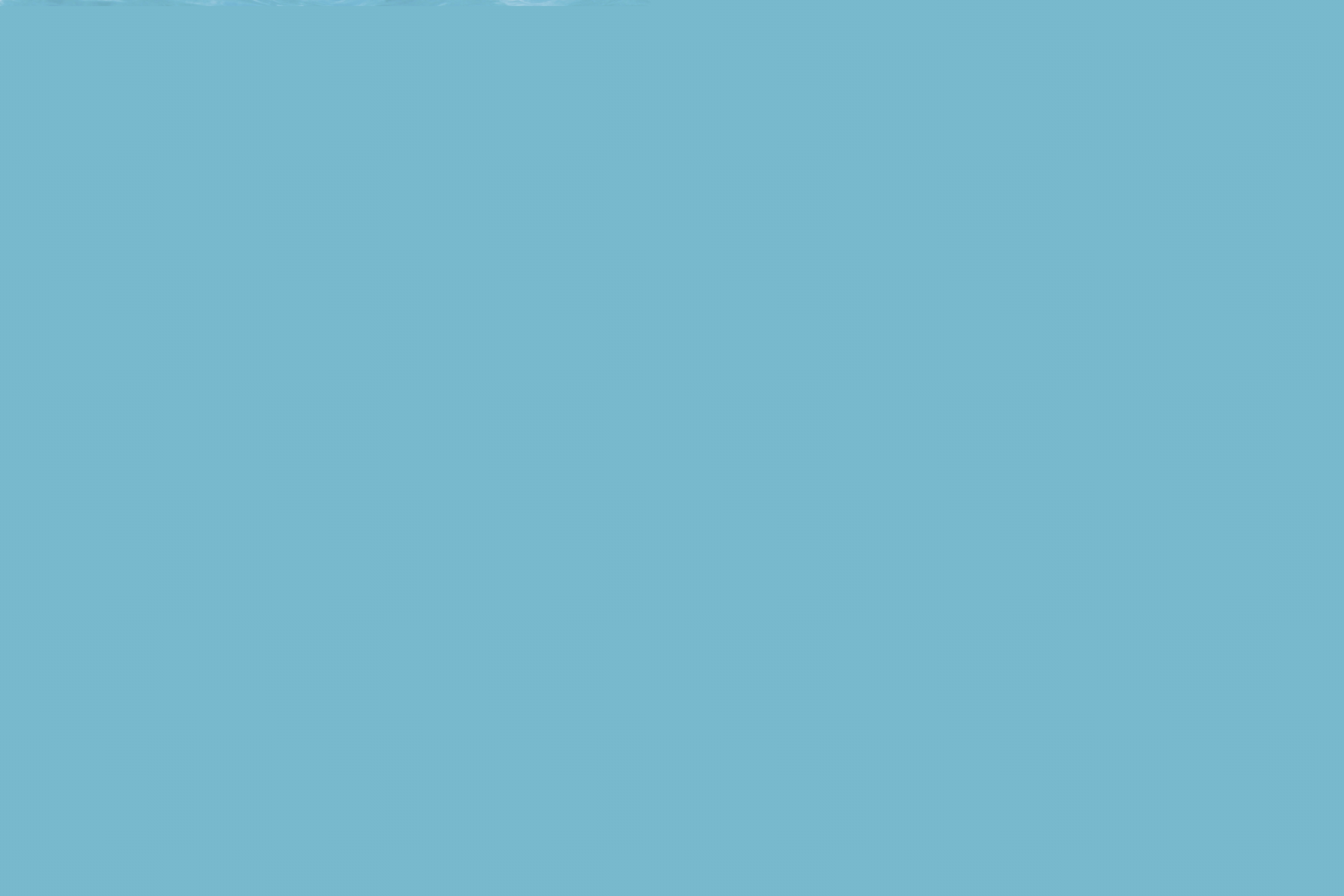 Bouée gonflable Pluto  6942138926156 (6942138926156)