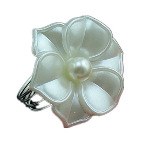 Hôtel vaisselle bouche drap serviette anneau ro...