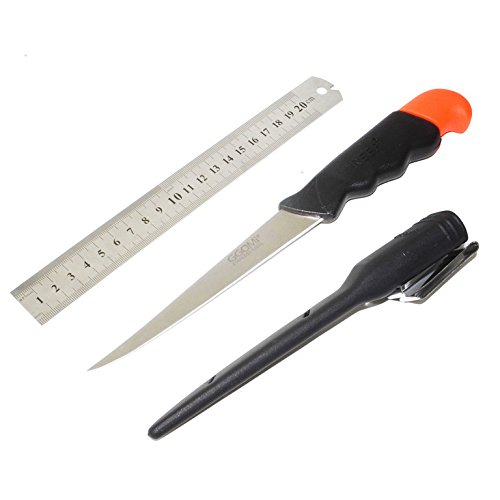 Couteau à poisson flottant en acier inoxydable