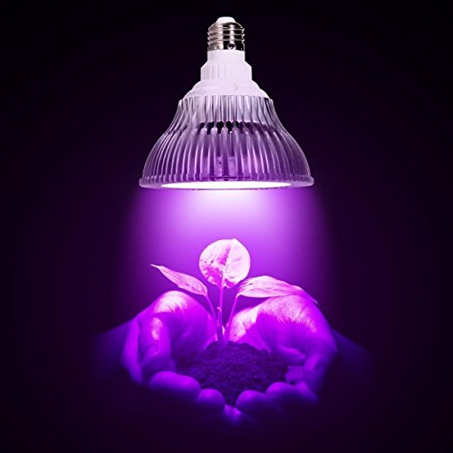 Eclairage pour plantes, OxyLED GL01 Lampe Plant...