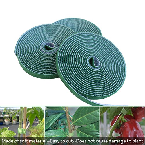 Schone Products (UK) Crochet et boucle Liens Jardin strips- tiges plantes securely- permet rapide growth-gentle Alternative sans danger à fil ou Attaches en plastique code EAN 7091118575156 