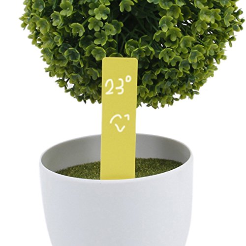 Nouveaux bonbons Wing fille Cartoon enfants per...