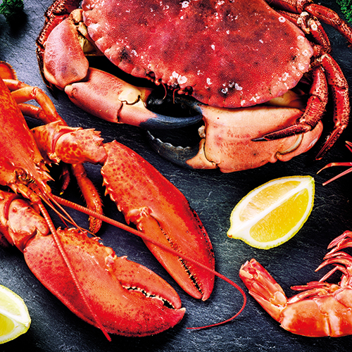 VIVIERS DE PORSGUEN CRUSTACÉS ET COQUILLAGES code EAN 7150022 