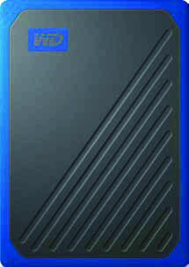 wd2 DISQUE DUR SSD PORTABLE 718037867793 (718037867793)