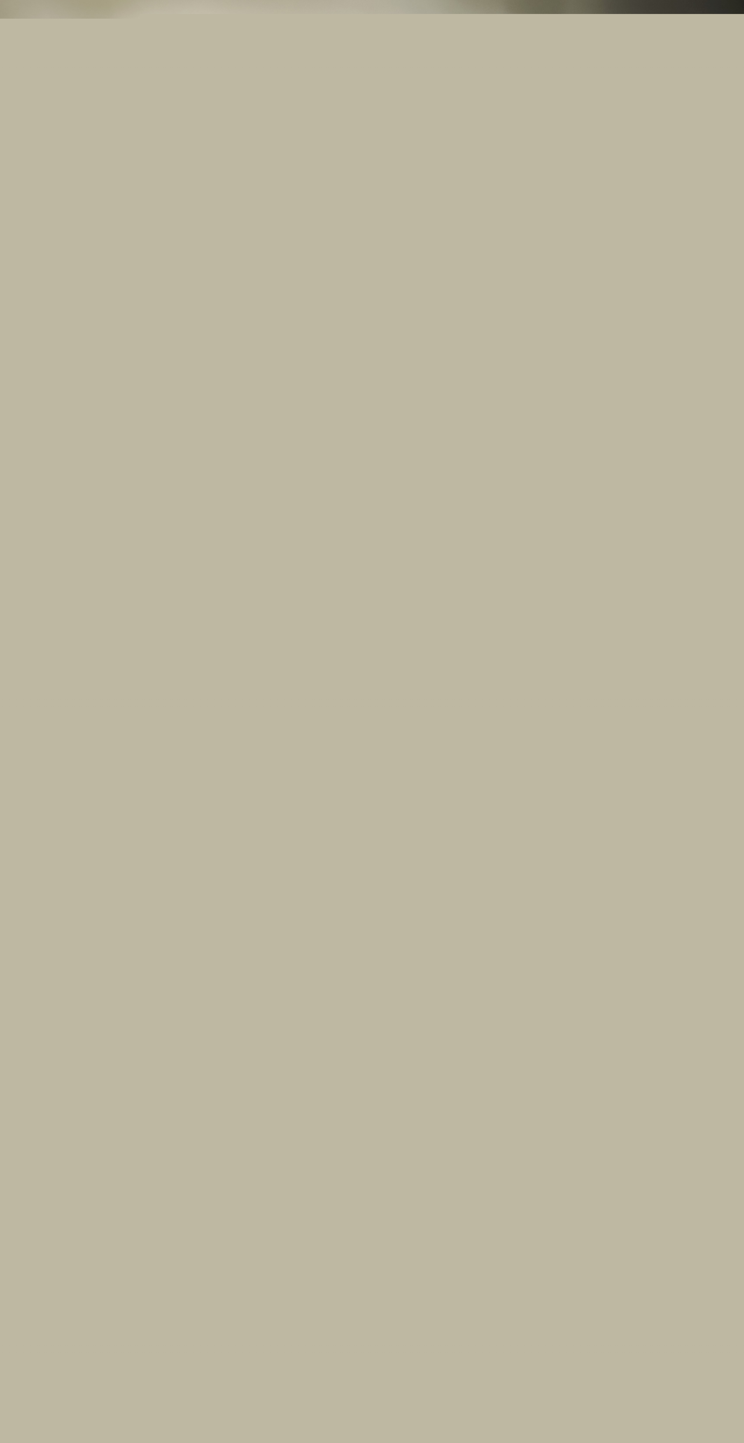 Bière IPA Lagunitas