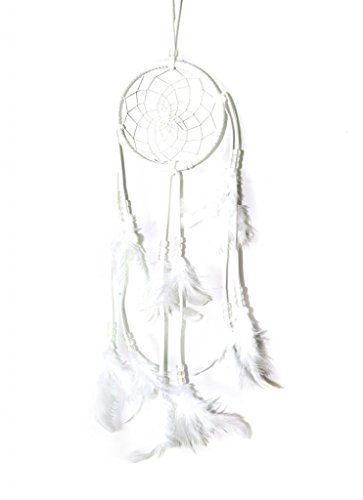 En forme de cercle Dream Catcher avec des plume...