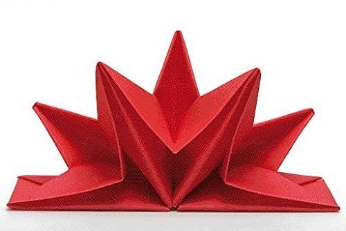 Sona-Lux Serviettes en papier pliées Venezia, Couleur?: Rouge, Pre, contient Pro d'emballage?: 12 pièces, forme étoile, décoration de table, décoration de table, mariage, baptême, Noël, anniversaire code EAN 7330010249087 