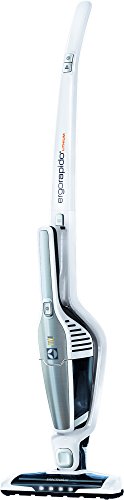 Ergorapido ZB3105 Electrolux Aspirateur 2 en 1 ...