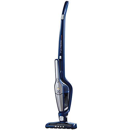 Aspirateur balai zb3106 ergorapido cyclonic