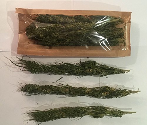 hemp tea www.hempcooltura.com Chanvre thé 30 cm long bourgeons de qualité supérieure 50 g 7426757942197 (7426757942197)