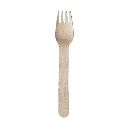 Cwisto Fourchette bois jetable compostable X100 - Cwisto 7426773092548 (7426773092548)