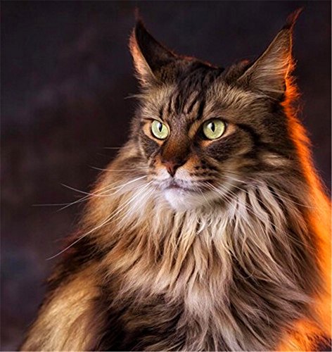 ytg 5D Needlework Kit point de croix Motif DIY ...