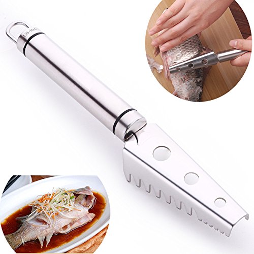 Rasage de peau de poisson Rasoirs de brosse à l...