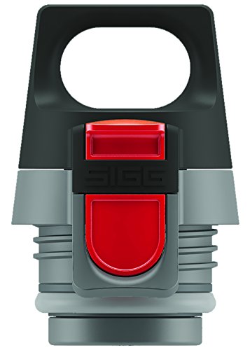 Sigg 8540.20 sigg hot&cold one top grey 0.3/0.5 l code EAN 7610465854020 