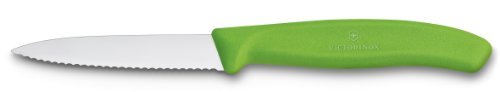 Couteau à légumes swissclassic, vert 7611160032225 Victorinox Couteau à légumes swissclassic, vert 7611160032225 Victorinox