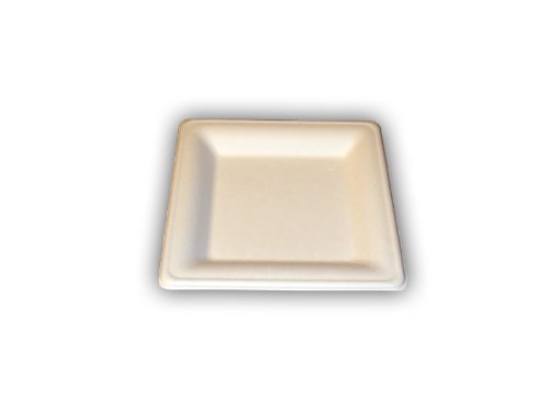 50 assiettes carrées biodégradables en canne à ...