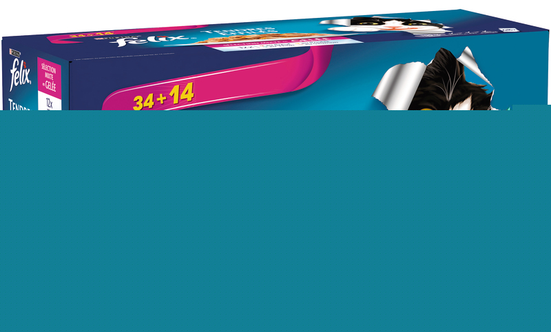 TENDRES EFFILÉS EN GELÉE  VIANDES FELIX