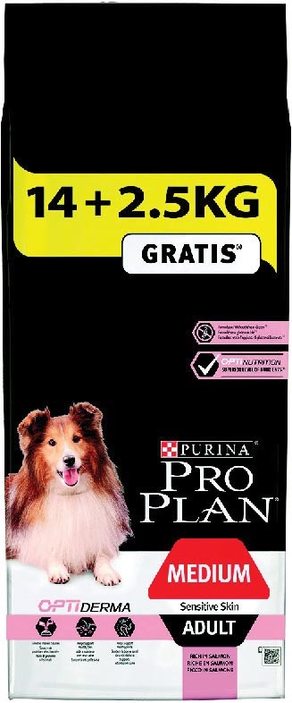 Croquettes chien moyen 