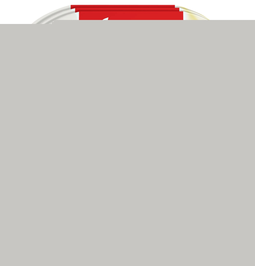 Le Bon Poulet -25% de sel Herta