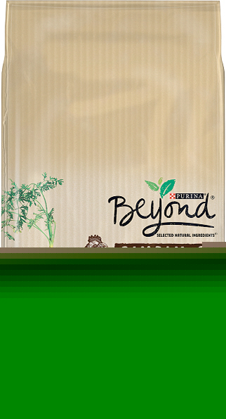 Beyond CROQUETTES CHIEN AU POULET Beyond code EAN 7613035833050 