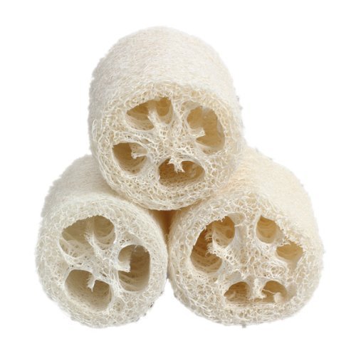 3 natural loofah jouet de bain douche éponge à ...