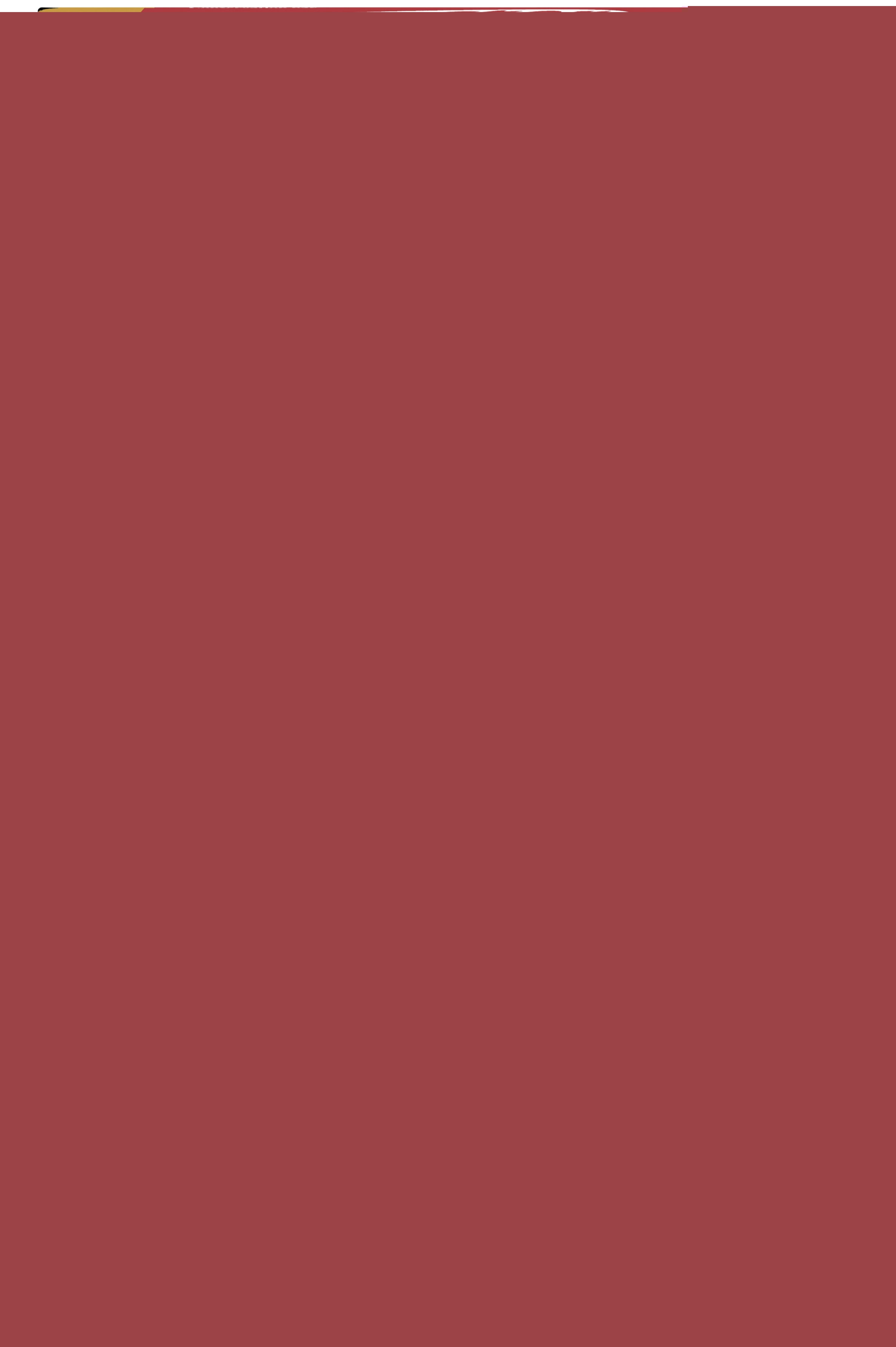 Belin chipster saveur poulet Belin 7622210869630 Belin Belin chipster saveur poulet Belin 7622210869630 Belin