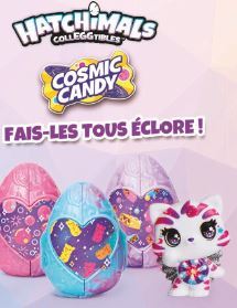 COFFRET MULTIPACK 4 HATCHIMALS + 4 ACCESSOIRES