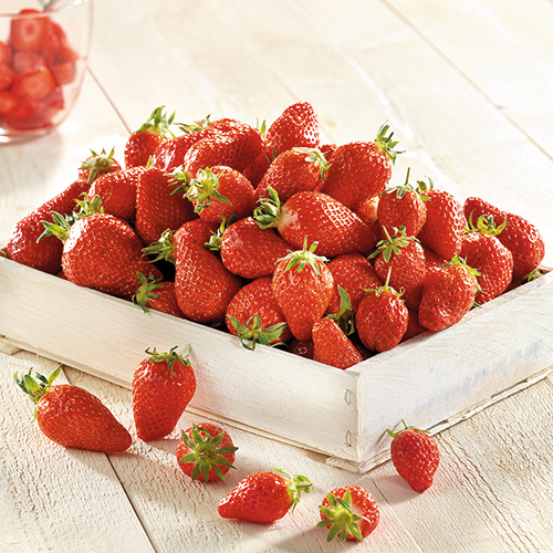 RETROUVEZ EN CE MOMENT LEURS FRAISES ET POMMES BIO
