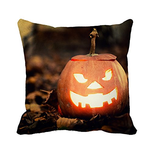 warrantyll citrouilles Halloween Chauve-Souris ...